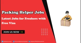 Packing Helper Jobs in Dubai